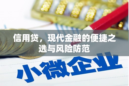 兴庆信用贷，现代金融的便捷之选与风险防范