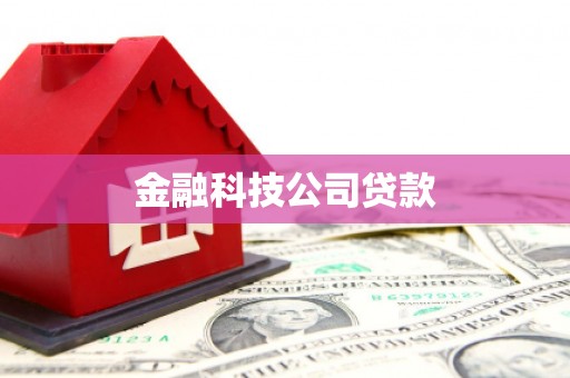兴庆金融科技公司贷款