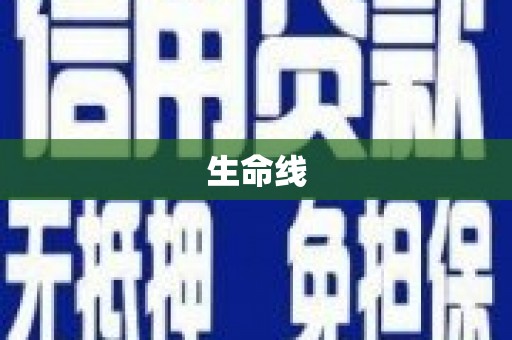 兴庆生命线
