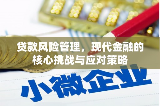 兴庆贷款风险管理，现代金融的核心挑战与应对策略