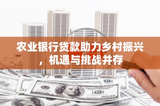 兴庆农业银行贷款助力乡村振兴，机遇与挑战并存