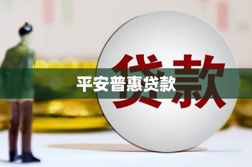 兴庆平安普惠贷款