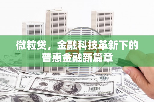 兴庆微粒贷，金融科技革新下的普惠金融新篇章