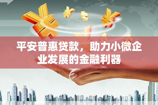 兴庆平安普惠贷款，助力小微企业发展的金融利器