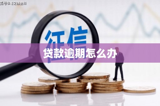 兴庆贷款逾期怎么办