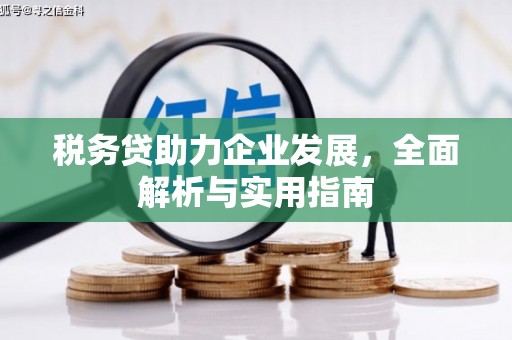 兴庆税务贷助力企业发展，全面解析与实用指南