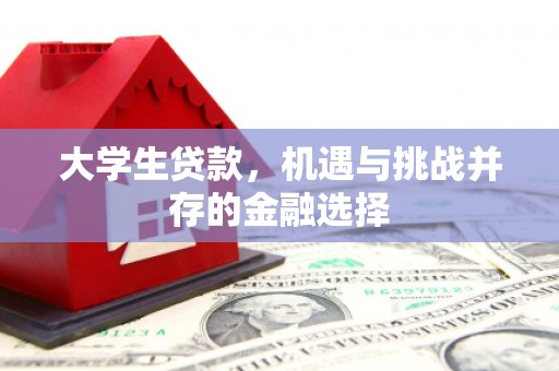 兴庆大学生贷款，机遇与挑战并存的金融选择