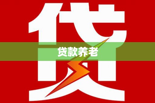兴庆贷款养老
