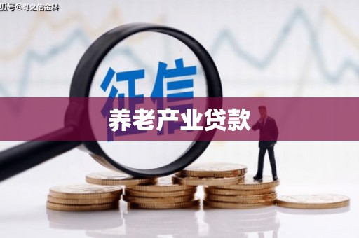 兴庆养老产业贷款