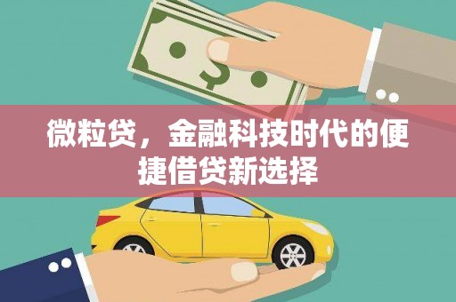 兴庆微粒贷，金融科技时代的便捷借贷新选择