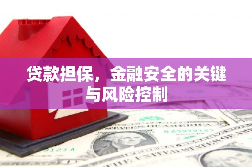 兴庆贷款担保，金融安全的关键与风险控制