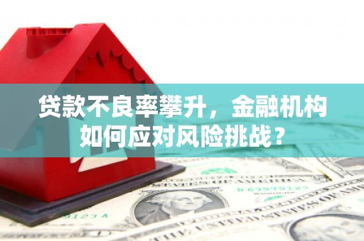 兴庆贷款不良率攀升，金融机构如何应对风险挑战？