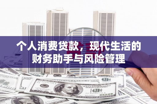兴庆个人消费贷款，现代生活的财务助手与风险管理