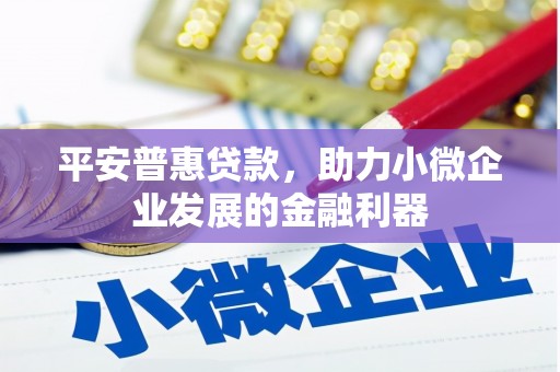 兴庆平安普惠贷款，助力小微企业发展的金融利器