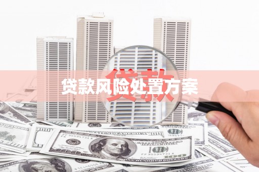 兴庆贷款风险处置方案