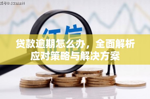 兴庆贷款逾期怎么办，全面解析应对策略与解决方案