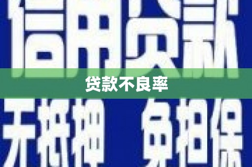 兴庆贷款不良率