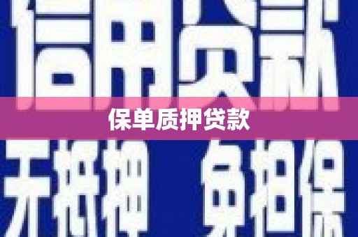 兴庆保单质押贷款