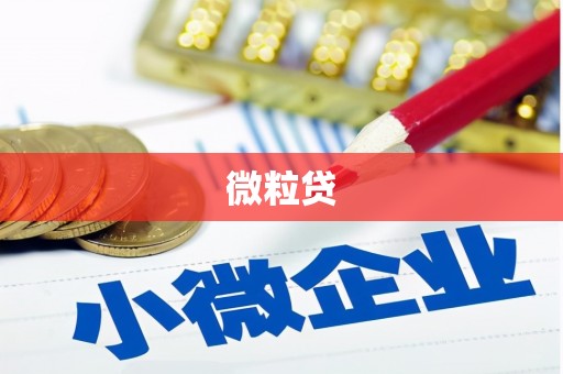兴庆微粒贷
