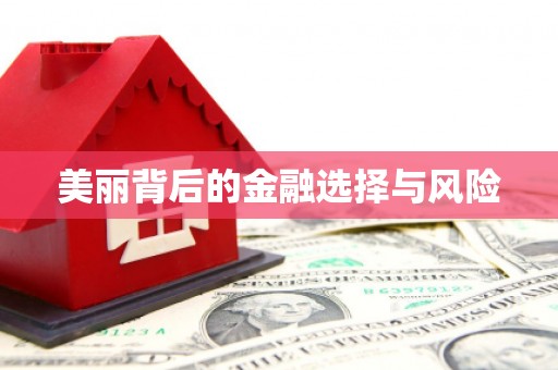 兴庆美丽背后的金融选择与风险
