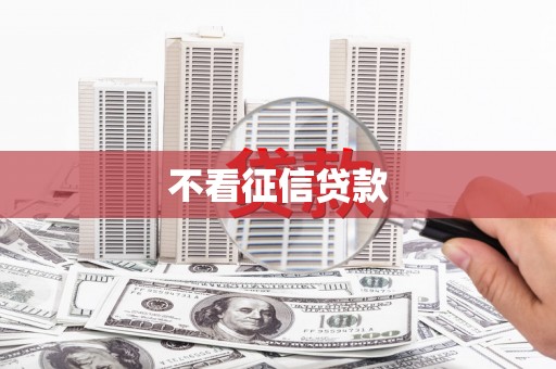 兴庆不看征信贷款