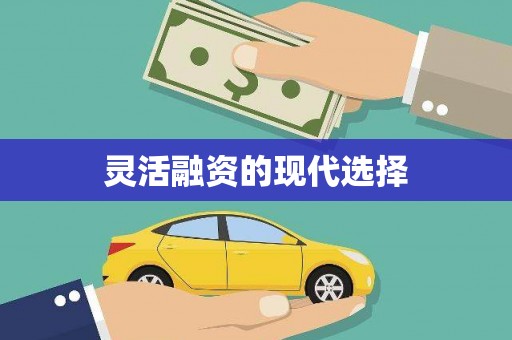 兴庆灵活融资的现代选择