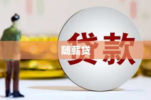 兴庆随薪贷