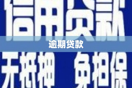 兴庆逾期贷款