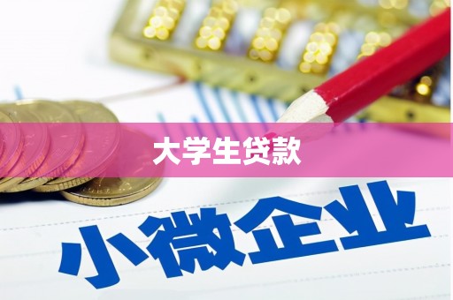 兴庆大学生贷款