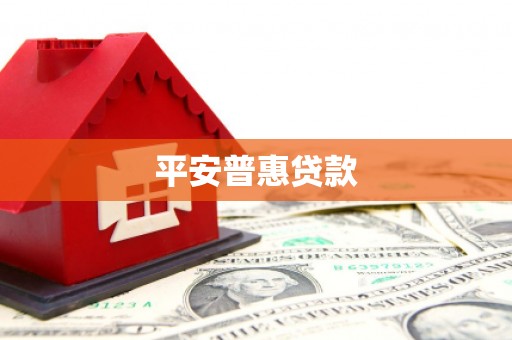 兴庆平安普惠贷款