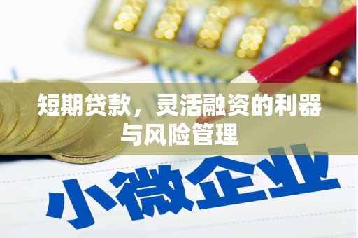 兴庆短期贷款，灵活融资的利器与风险管理