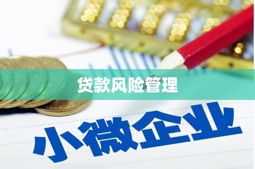 兴庆贷款风险管理