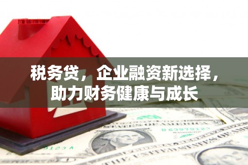 兴庆税务贷，企业融资新选择，助力财务健康与成长